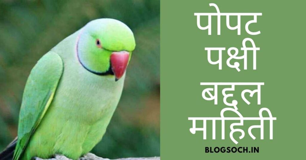 Parrot Bird Information in Marathi