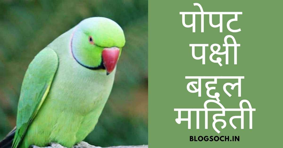 world-tourist-destinations-sugran-bird-information-in-marathi