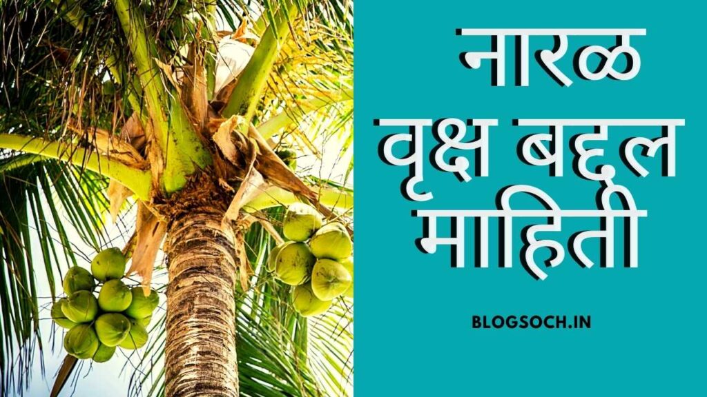 Coconut Tree Information in Marathi