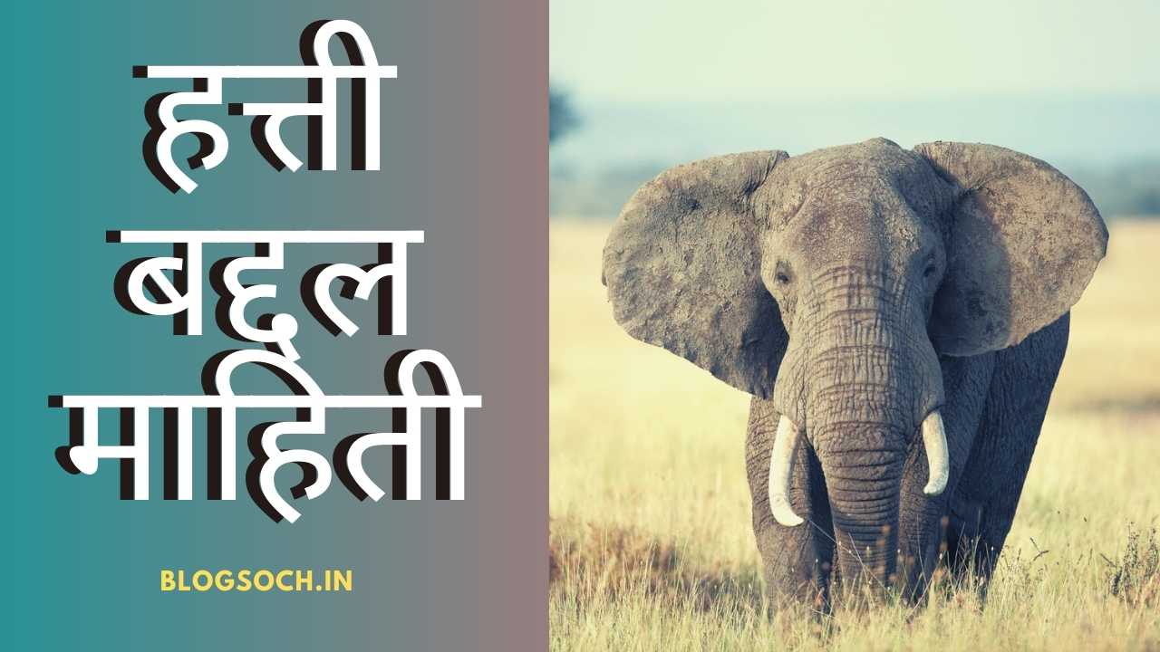 essay of elephant in marathi