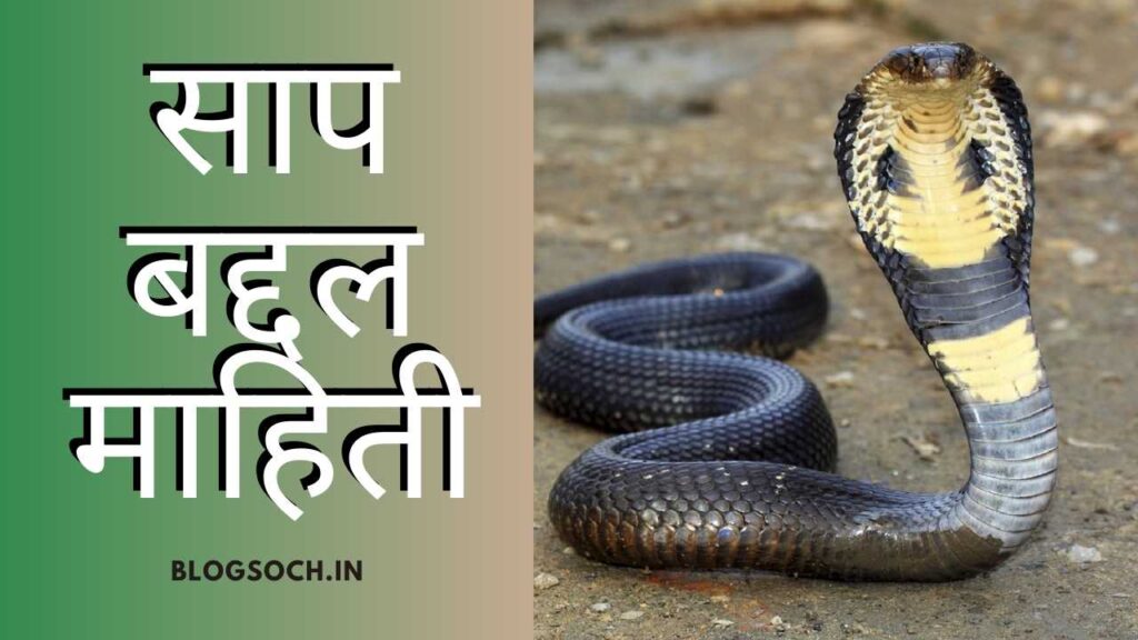 Snake Information in Marathi